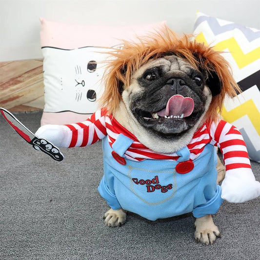 The Chucky Pup