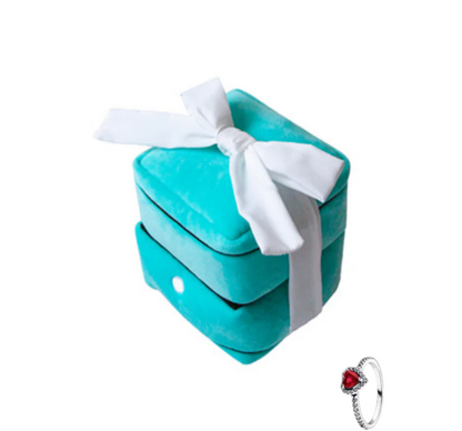 Plush Ring Set (with a red actual ring inside)