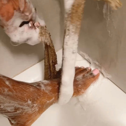 ExfoliMesh™ - Deep Clean Body Net
